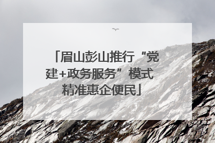 眉山彭山推行“党建+政务服务”模式 精准惠企便民