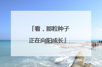 看，那粒种子正在向阳成长