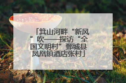 箕山河畔“新风”吹——探访“全国文明村”鄄城县凤凰镇酒店张村
