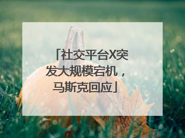 社交平台X突发大规模宕机，马斯克回应