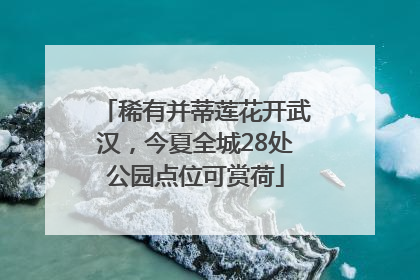 稀有并蒂莲花开武汉，今夏全城28处公园点位可赏荷