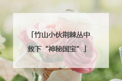 竹山小伙荆棘丛中救下“神秘国宝”