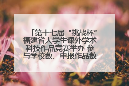 第十七届“挑战杯”福建省大学生课外学术科技作品竞赛举办 参与学校数、申报作品数创历史新高