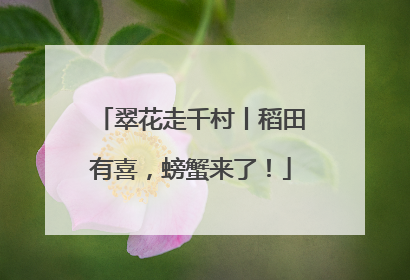 翠花走千村丨稻田有喜，螃蟹来了！