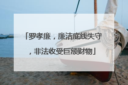 罗孝廉，廉洁底线失守，非法收受巨额财物