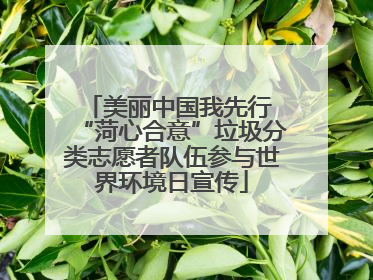 美丽中国我先行 “菏心合意”垃圾分类志愿者队伍参与世界环境日宣传