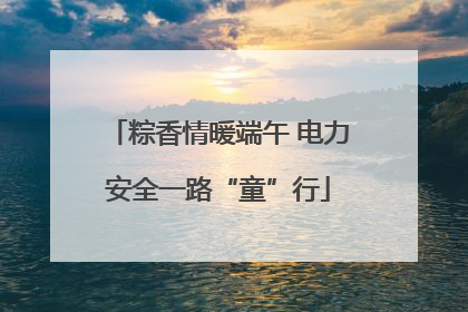 粽香情暖端午 电力安全一路“童”行