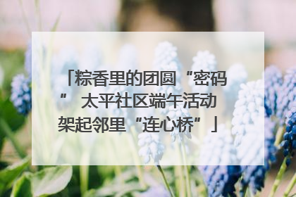 粽香里的团圆“密码” 太平社区端午活动架起邻里“连心桥”