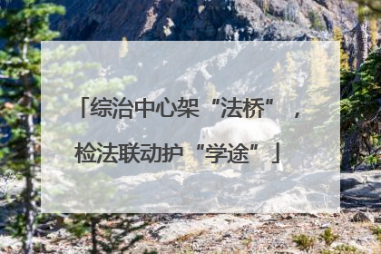 综治中心架“法桥”，检法联动护“学途”