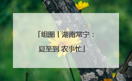 组图丨湖南常宁：夏至到 农事忙