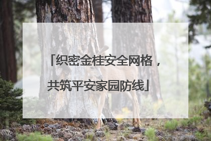 织密金桂安全网格，共筑平安家园防线