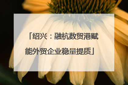 绍兴：融杭数贸港赋能外贸企业稳量提质