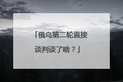 俄乌第二轮直接谈判谈了啥？