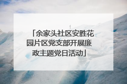 余家头社区安胜花园片区党支部开展廉政主题党日活动