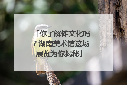 你了解傩文化吗？湖南美术馆这场展览为你揭秘