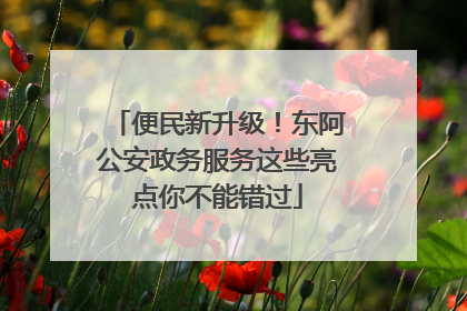 便民新升级！东阿公安政务服务这些亮点你不能错过