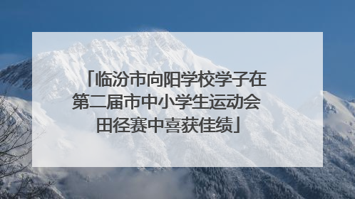 临汾市向阳学校学子在第二届市中小学生运动会田径赛中喜获佳绩