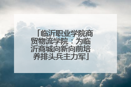 临沂职业学院商贸物流学院：为临沂商城向新向前培养排头兵主力军