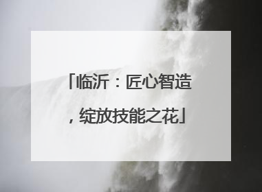 临沂：匠心智造，绽放技能之花
