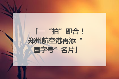一“拍”即合！郑州航空港再添“国字号”名片