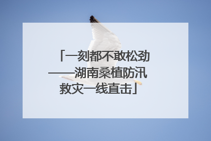 一刻都不敢松劲——湖南桑植防汛救灾一线直击