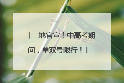 一地官宣！中高考期间，单双号限行！