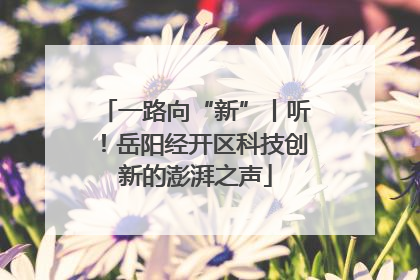 一路向“新”丨听！岳阳经开区科技创新的澎湃之声