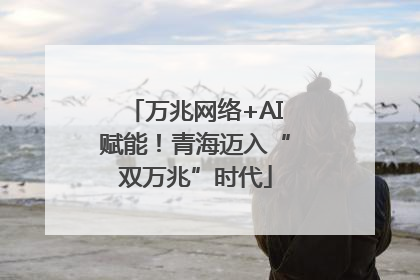 万兆网络+AI赋能！青海迈入“双万兆”时代