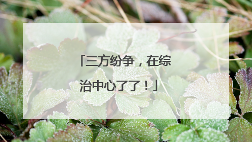 三方纷争，在综治中心了了！