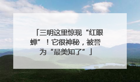 三明这里惊现“红眼蝉”！它很神秘，被誉为“最美知了”