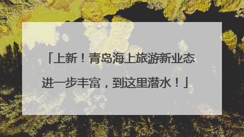 上新！青岛海上旅游新业态进一步丰富，到这里潜水！