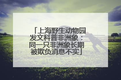 上海野生动物园发文科普非洲象：同一只非洲象长期被欺负消息不实