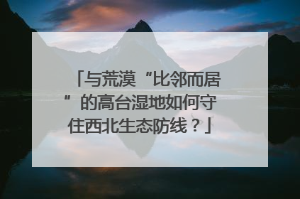 与荒漠“比邻而居”的高台湿地如何守住西北生态防线？