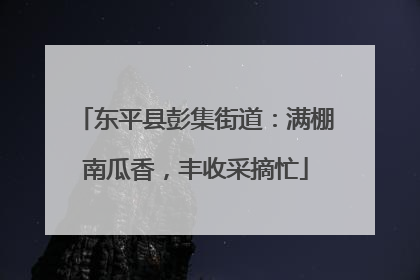 东平县彭集街道：满棚南瓜香，丰收采摘忙