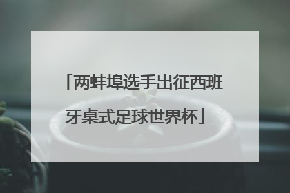 两蚌埠选手出征西班牙桌式足球世界杯
