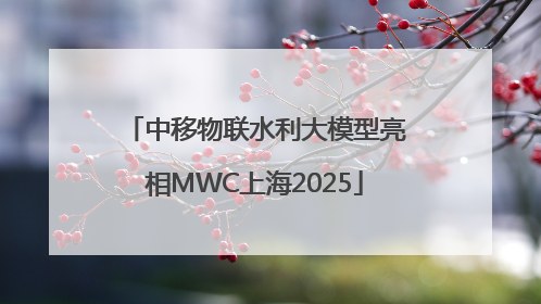 中移物联水利大模型亮相MWC上海2025