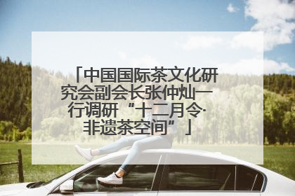 中国国际茶文化研究会副会长张仲灿一行调研“十二月令·非遗茶空间”