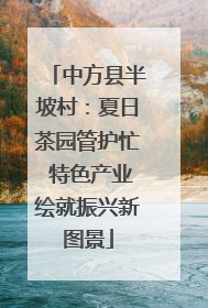 中方县半坡村：夏日茶园管护忙 特色产业绘就振兴新图景