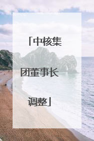 中核集团董事长调整