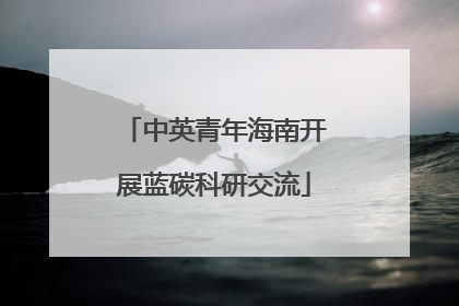 中英青年海南开展蓝碳科研交流