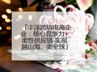 丰泽跨境电商企业：核心竞争力+柔性供应链 实现越山海、卖全球