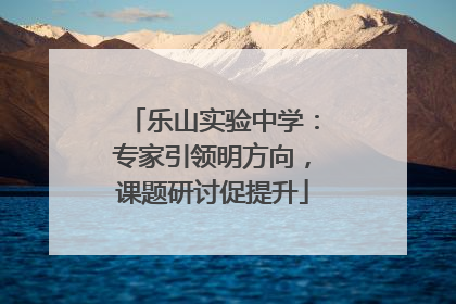 乐山实验中学：专家引领明方向，课题研讨促提升
