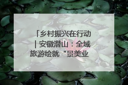 乡村振兴在行动｜安徽潜山：全域旅游绘就“景美业兴民富”新画卷