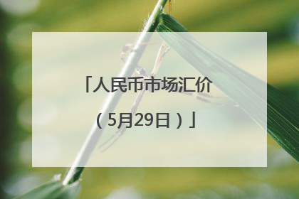 人民币市场汇价（5月29日）
