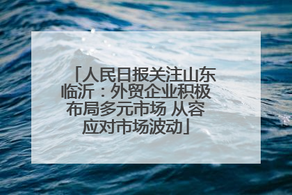 人民日报关注山东临沂：外贸企业积极布局多元市场 从容应对市场波动