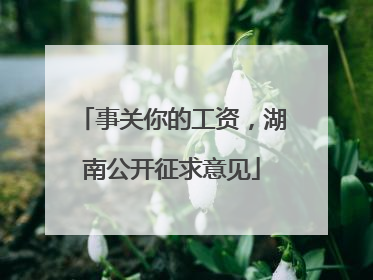 事关你的工资，湖南公开征求意见