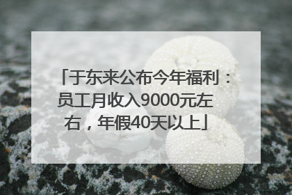 于东来公布今年福利：员工月收入9000元左右，年假40天以上