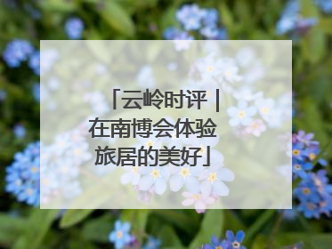 云岭时评｜在南博会体验旅居的美好