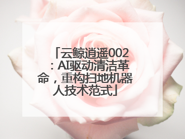 云鲸逍遥002：AI驱动清洁革命，重构扫地机器人技术范式