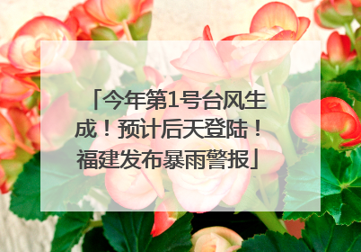今年第1号台风生成！预计后天登陆！福建发布暴雨警报